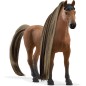 Étalon Akhal-Teke Beauty Horse