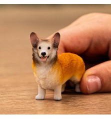 Chien Welsh Corgi