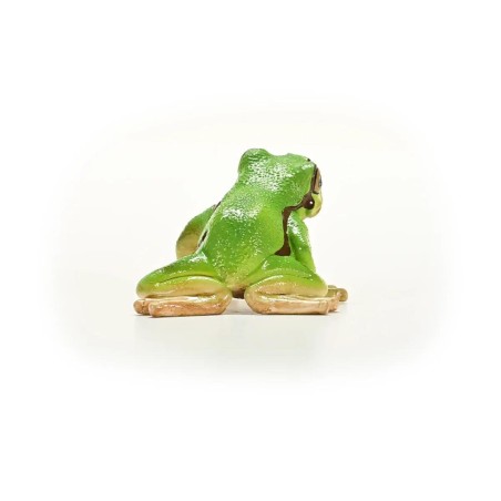 Rainette Verte