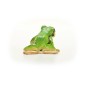 Rainette Verte