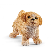 Enclos à chiots