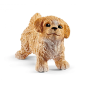 Enclos à chiots