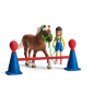 Entrainement d'agility pour poney