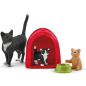 Aire de jeu pour chats adorables