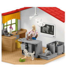 Clinique vétérinaire avec animaux domestiques