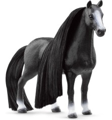 Jument Quarter Horse Beauty Horse