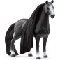 Jument Quarter Horse Beauty Horse