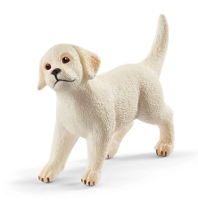 Enclos à chiots