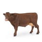 Station de lavage pour vaches