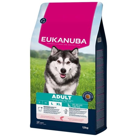 Adult Large Breed Saumon 12kg