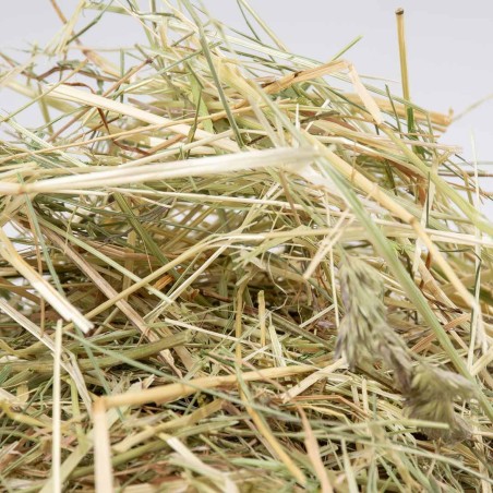 Foin a base des herbes Carotte 500g
