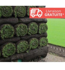Gazon en rouleaux