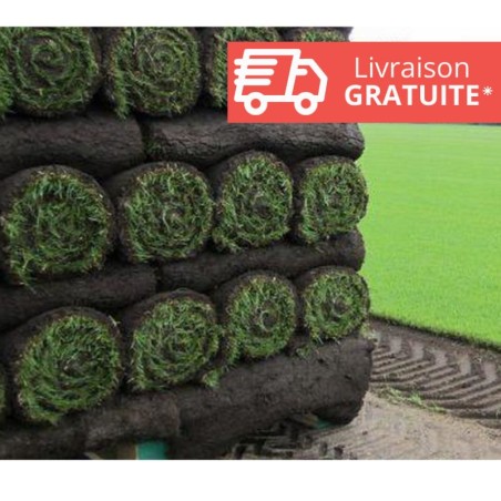Gazon en rouleaux