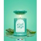 Bougie Trendy Aloe Vera 150g