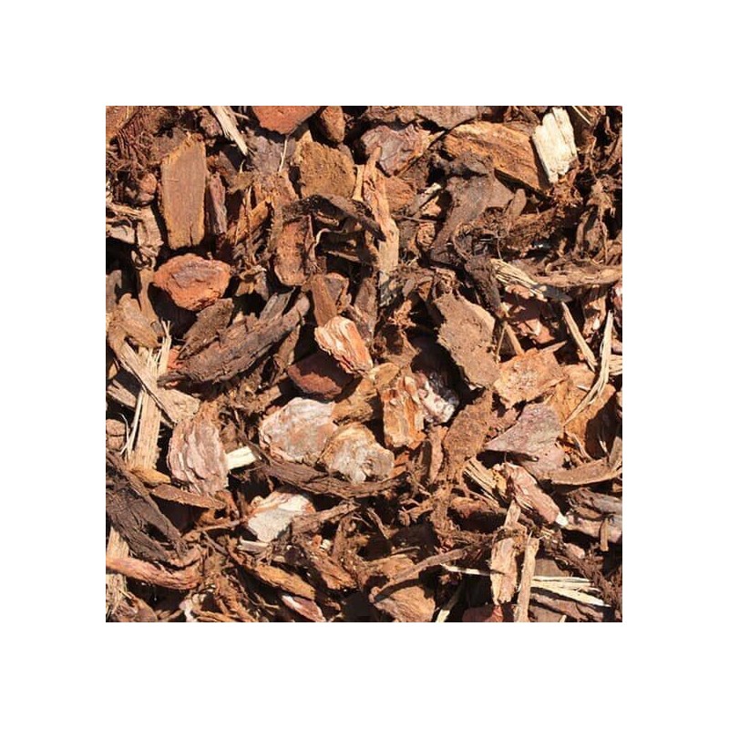 Ecorce de pin sylvestre vrac