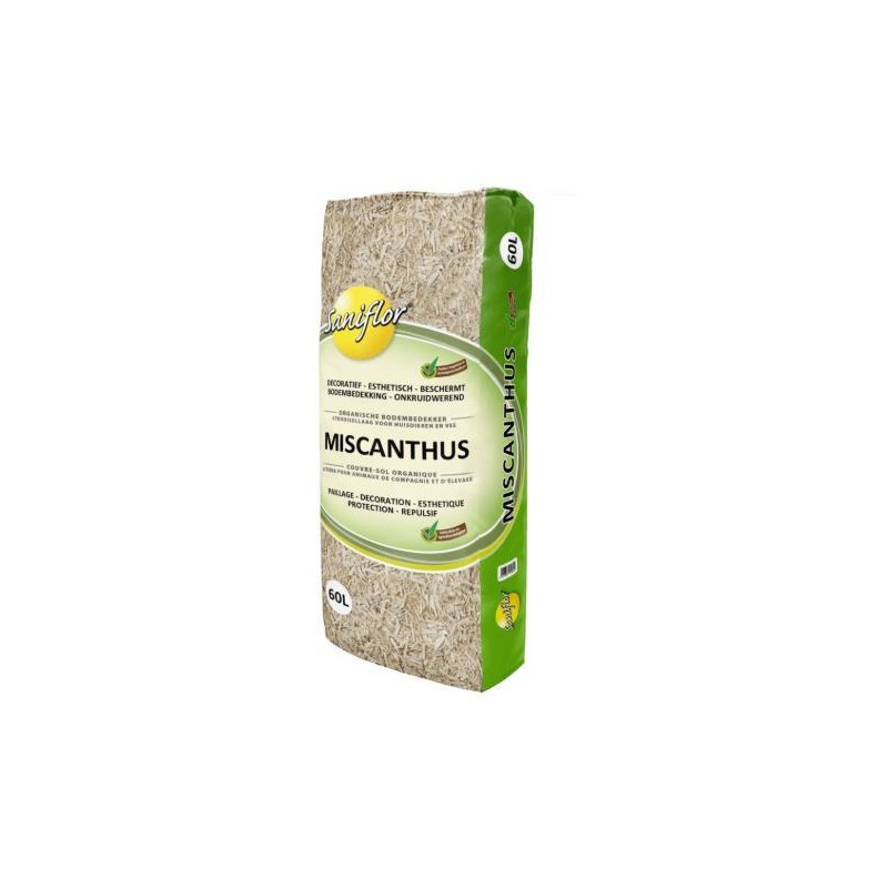 Miscanthus 60L