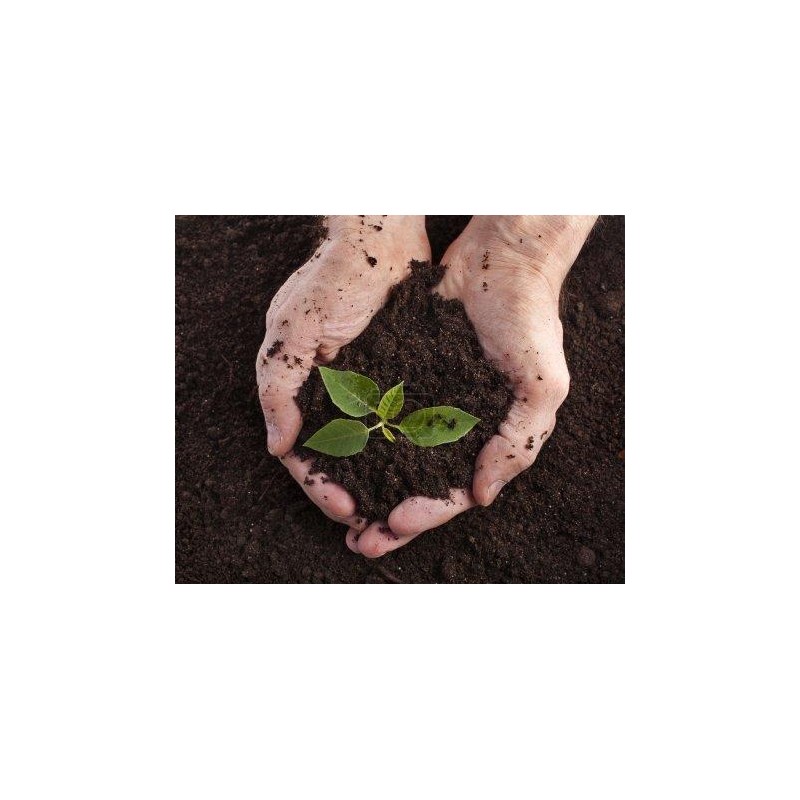 Terrau de plantation vrac