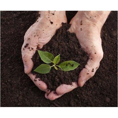 Terrau de plantation vrac
