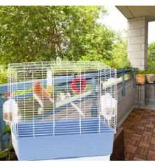 Cage Rekord 3