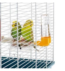 Cage Rekord 3