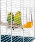 Cage Rekord 3