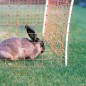 Filet lapins Hobby