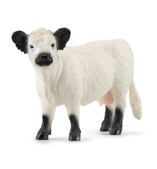 Vache Galloway