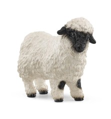 Mouton à nez noir du Valais
