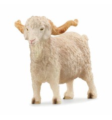 Bouc Angora