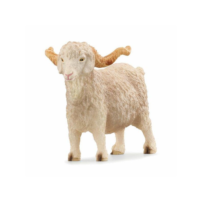 Bouc Angora