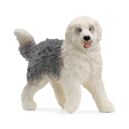 Bobtail chien de berger anglais
