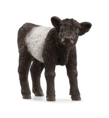 Veau Galloway