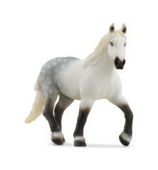 Jument Percheron