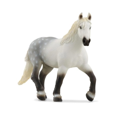 Jument Percheron