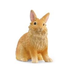 Lapin tête de lion