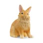 Lapin tête de lion