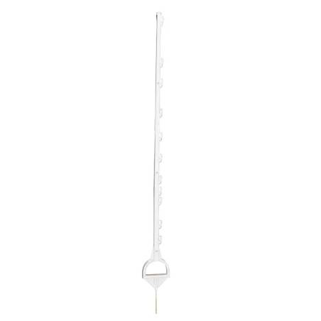 Piquet Cheval blanc 1,55m