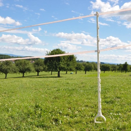 Piquet Cheval blanc 1,55m
