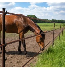 Piquet Cheval terra 1,55m DUO