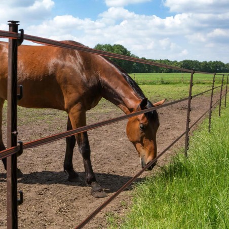 Piquet Cheval terra 1,55m DUO