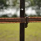 Piquet Cheval terra 1,55m DUO