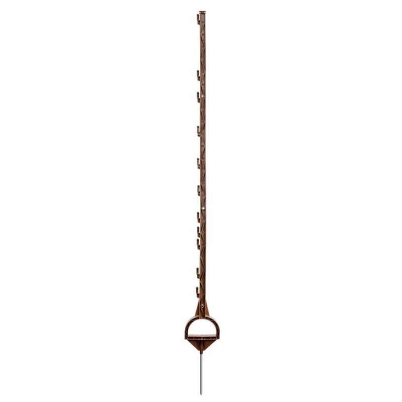 Piquet Cheval terra 1,55m