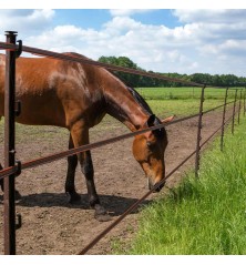 Piquet Cheval terra 1,55m