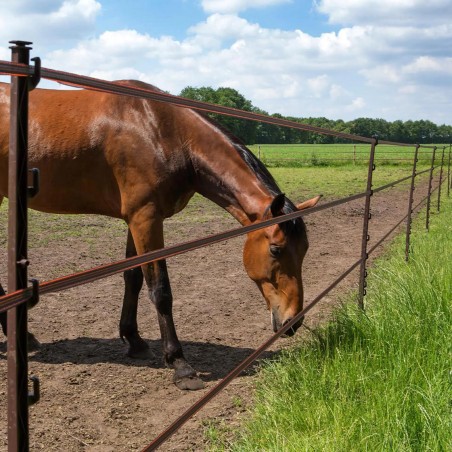 Piquet Cheval terra 1,55m