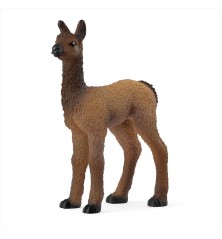 Bébé Lama