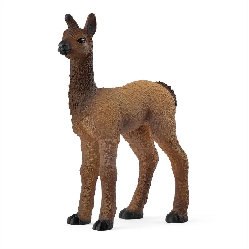 Bébé Lama