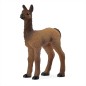 Bébé Lama