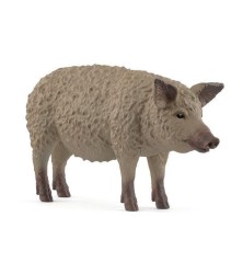 Cochon Mangalica