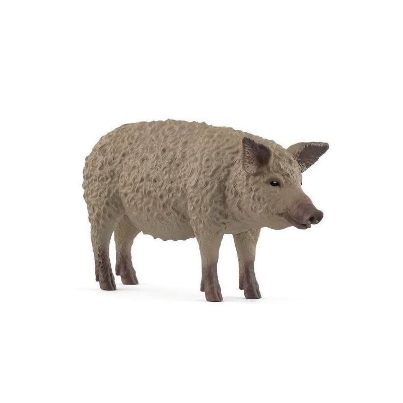 Cochon Mangalica