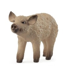 Porcelet Mangalica
